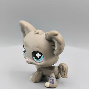 Littlest Pet Shop Chihuahua #836, authentische Haustierfigur, LPS Hundekollektion, LPS Sammlergeschenk, Vintage Spielzeug Hasbro