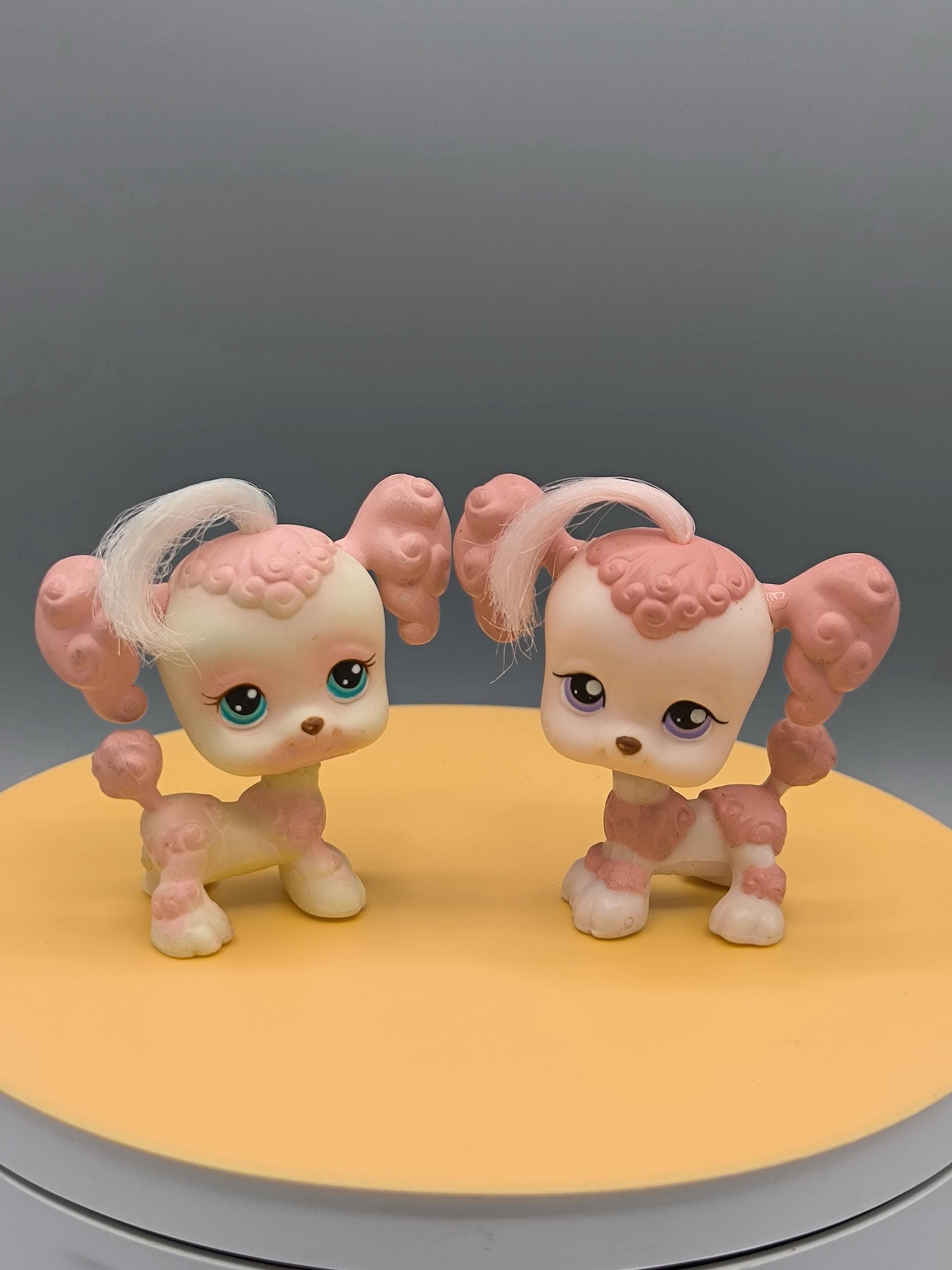 Figurine Littlest Pet Shop - Chien Caniche Bleu Poodle - Occasion - Collection Jouet
