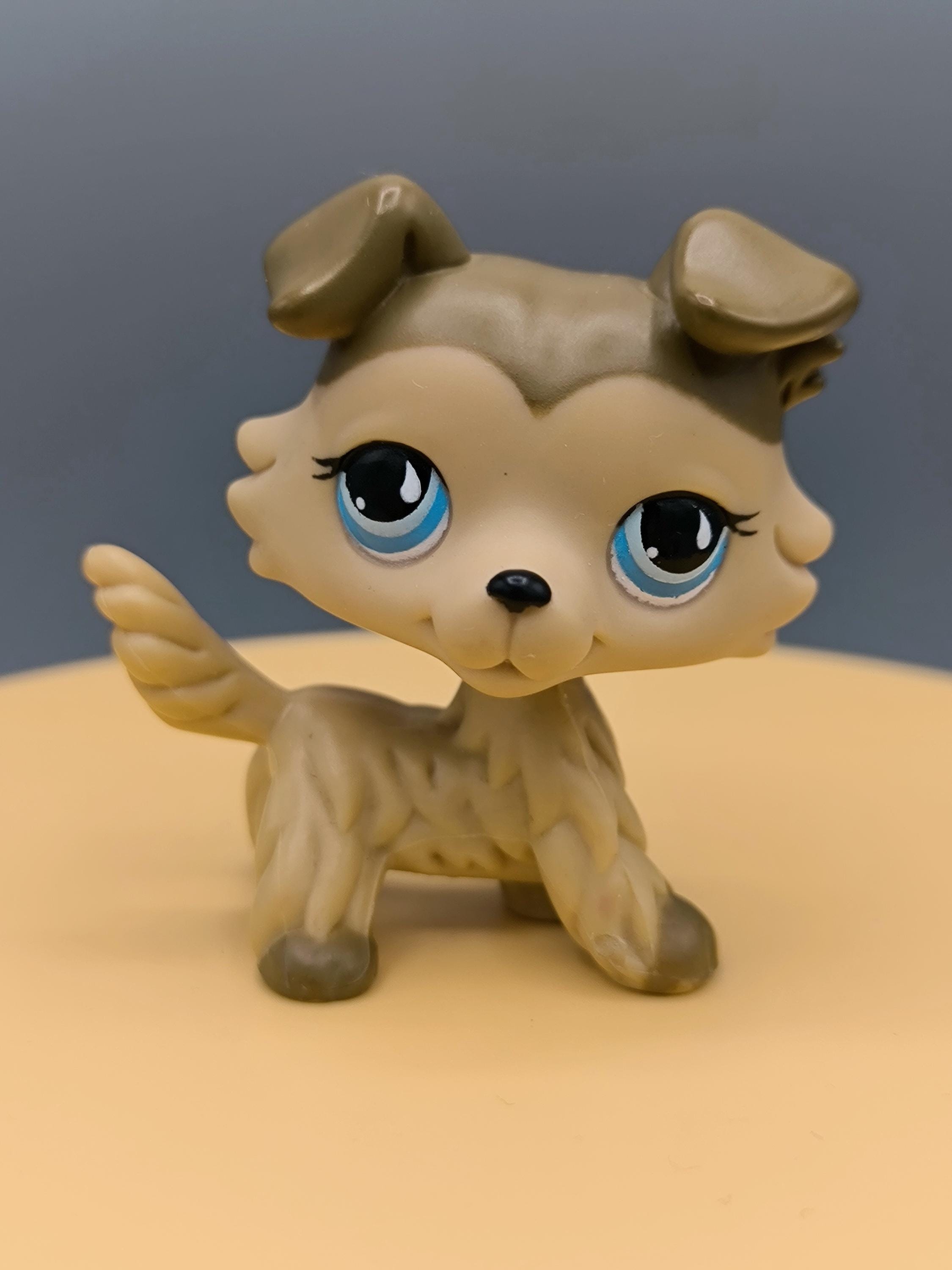 Littlest Pet Shop Collie #893, Authentic Pet Figurine, Collie