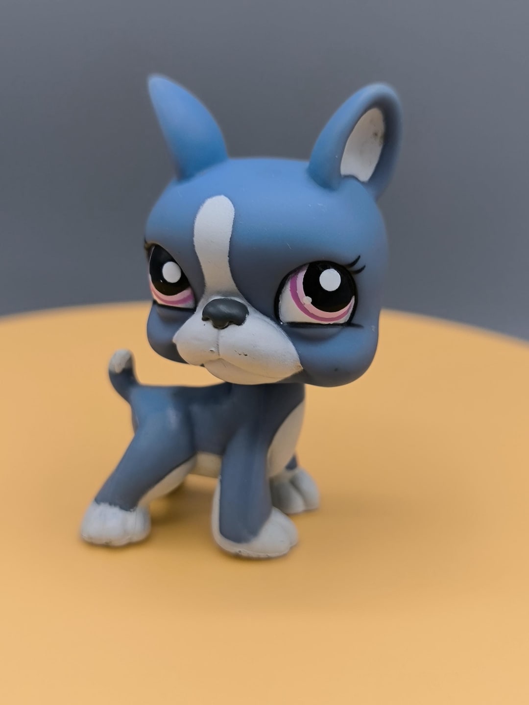 Littlest Pet Shop Boston Terrier #1025, Blue and White Terrier ...