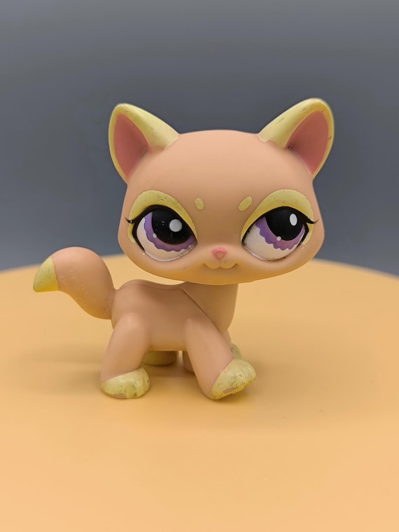 リトルペットショップの猫 #1265、正規品 LPS、オレンジ色の