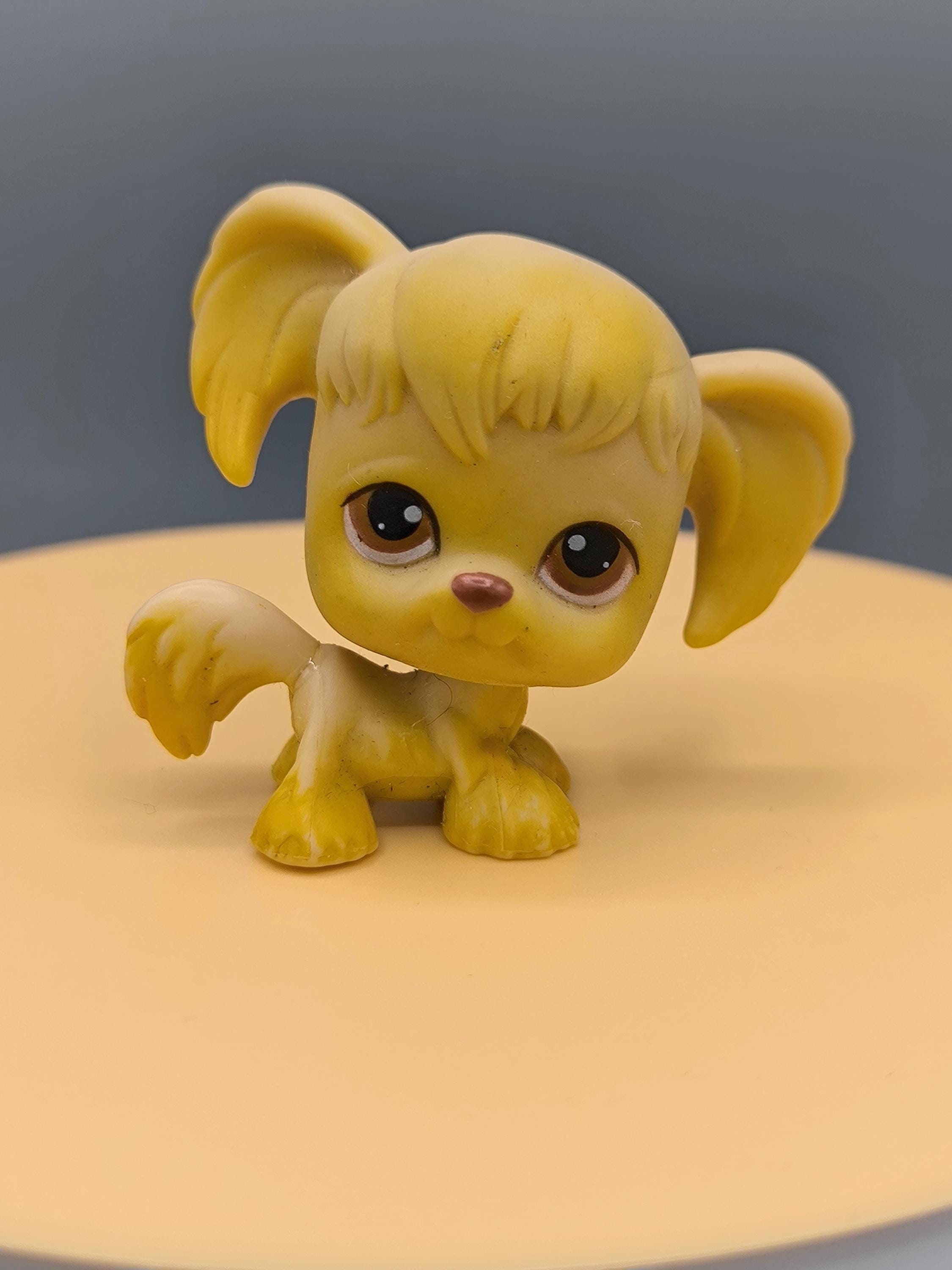 Littlest Pet Shop LPS #1716 - Chien Epagneul (Spaniel) Original Hasbro - Occasion
