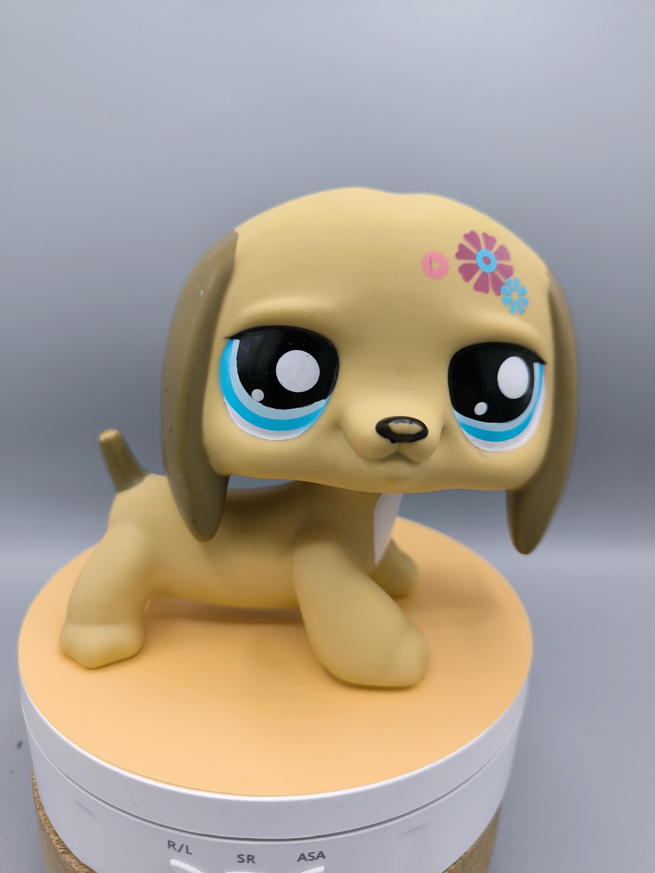 Amazon Little Pet Shop Perro Salchicha Dog Lps Dachshund 640 Littlest Pet  Shop-#640-Dachshund-, image size:2250x3000