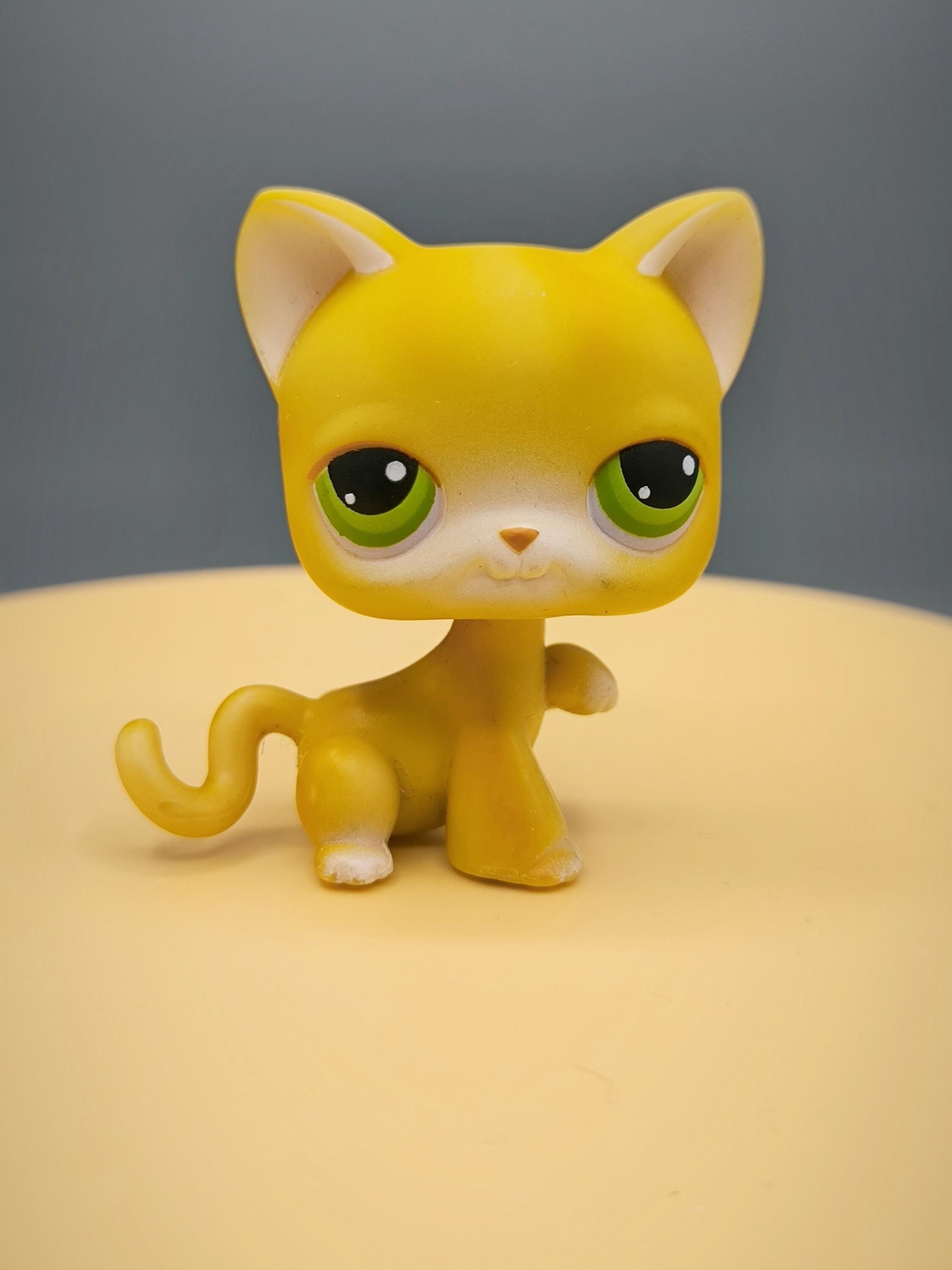 リトルペットショップ Littlestpetshop 猫 11 リトルペットショップ Littlestpetshop 猫 11