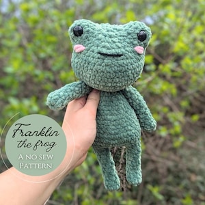 Franklin the No Sew Frog Crochet Pattern / Amigurumi Plushie PDF File