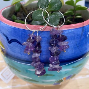 May include: A pair of silver hoop earrings with dangling amethyst gemstone charms. The earrings are hanging from a potted plant.