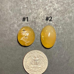 Cabujones de ópalo de fuego de Oregón con vitrina