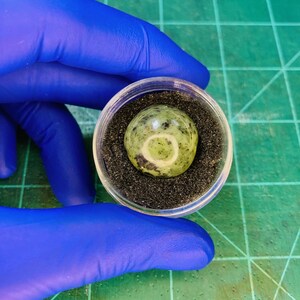 Natural Hand Cut Canadian Nephrite Jade Cabochon #37 Carat