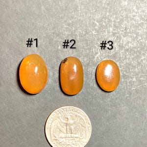 Puede incluir: Tres gemas ovaladas y translúcidas de color naranja, etiquetadas como #1, #2 y #3. Una moneda de veinticinco centavos estadounidense se coloca debajo para comparar el tamaño. Las gemas tienen un aspecto pulido y brillante.