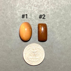 Puede incluir: Dos piedras pulidas de color ámbar, etiquetadas como #1 y #2, se muestran junto a una moneda de cuarto de dólar estadounidense para comparar el tamaño. La piedra #1 es ovalada, mientras que la piedra #2 es rectangular. El fondo es una superficie gris texturizada.