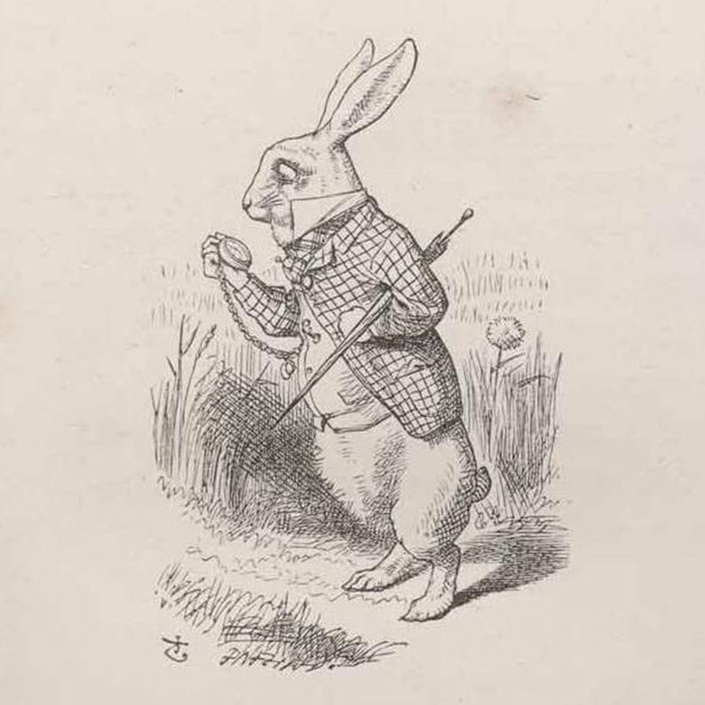 The White Rabbit of Alice’s Adventures in Wonderland P1 Machine ...