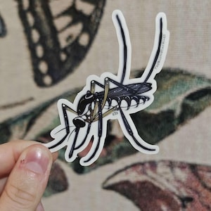 May include: A sticker featuring a detailed illustration of a mosquito with black and gray body, long legs, and a white border. The text "TheBloNatArtist" is printed on one of the legs. The sticker is held by a hand.