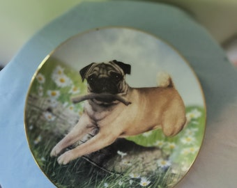 Collectable pug plate