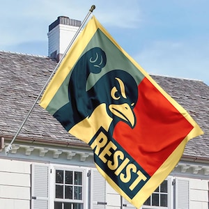 May include: A yellow, red and green flag with a cartoon penguin raising its fist and the word "RESIST" printed on it.