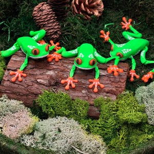3D Printed Red-Eyed Tree Frog Figurine – Colorful Jungle Decor, Nature Gift, Terrarium Accent, Cute Desk Buddy