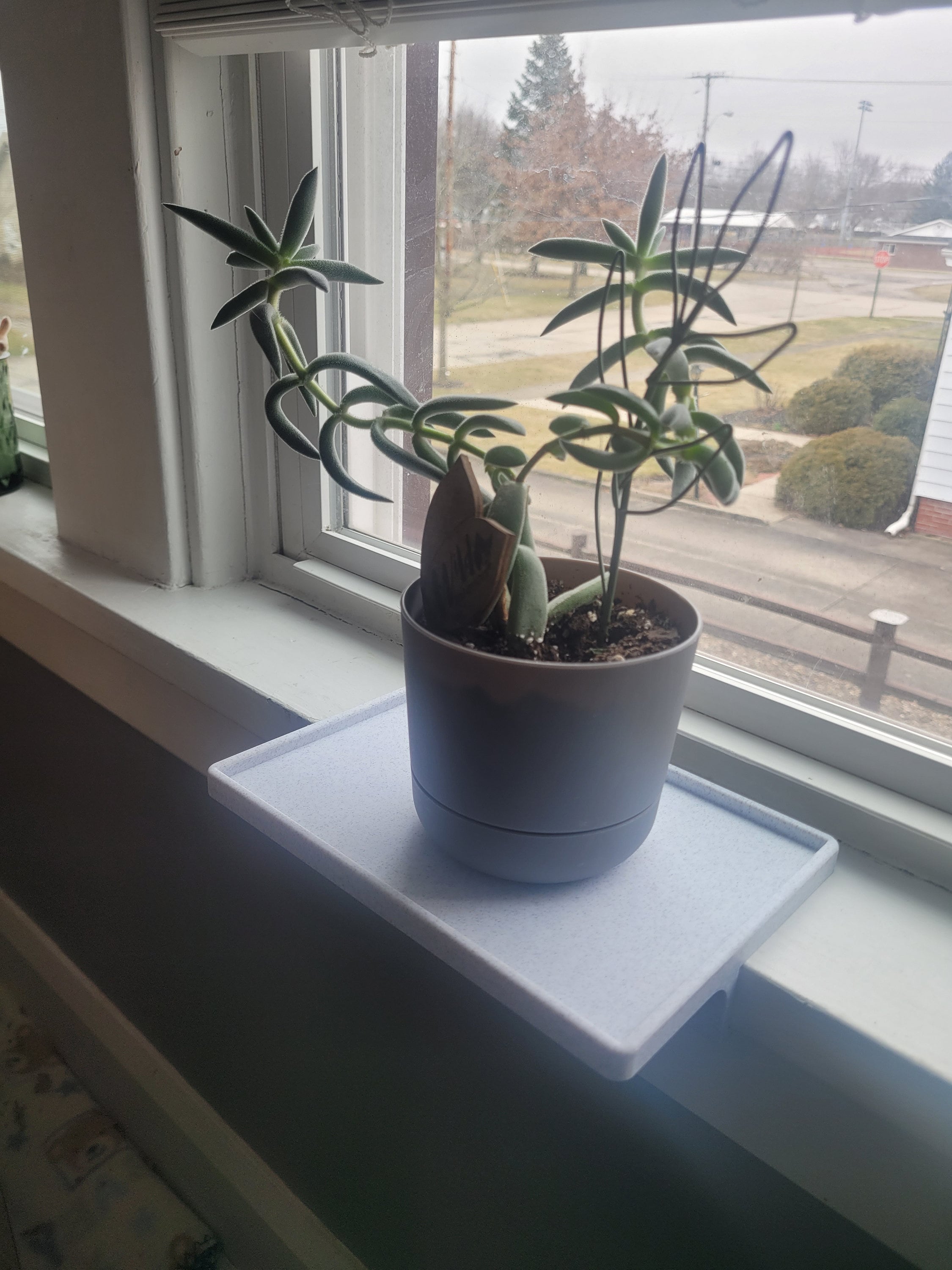 Narrow Windowsill Planter - Etsy