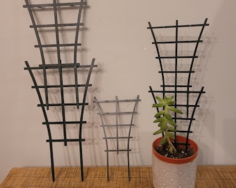 Indoor Plant / Succulent Trellis Support