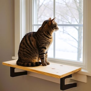 May include: A brown tabby cat sits on a wooden window perch, looking out a window. The perch is supported by black metal brackets. The window has a white frame and a view of bare trees and snow.