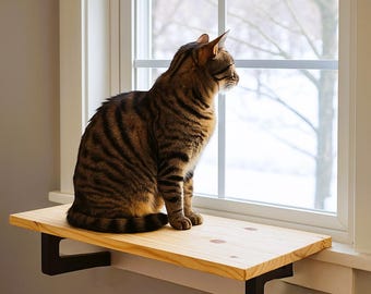 Windowsill Shelf Extender | Clever Cat Bed:  - No Screws, Easy Mounting, Happy Cats!