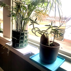 Windowsill Shelves 6&quot; - 15&quot;