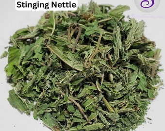 Stinging Nettle Herb, Wild Harvested Urtica dioica Leaves for Herbal Salve Making