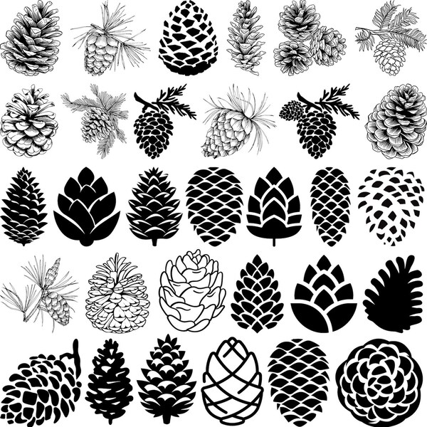 Cone svg bundle, Pinecone svg, Pine Tree Clipart , Pine Tree Vector, Woodland pine cone Svg, Autumn plant Svg, Conifer cone Svg,cone clipart