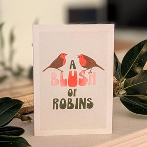 Blush of Robins - Biglietto di auguri natalizi A6 - Stampa Risograph
