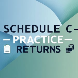 Schedule C Practice Tax Returns