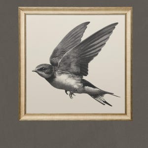 Impresión artística de colibrí, impresión artística vintage de pájaro para decoración del hogar, ilustración de pájaro antiguo, boceto minimalista de colibrí, decoración de pájaro imprimible