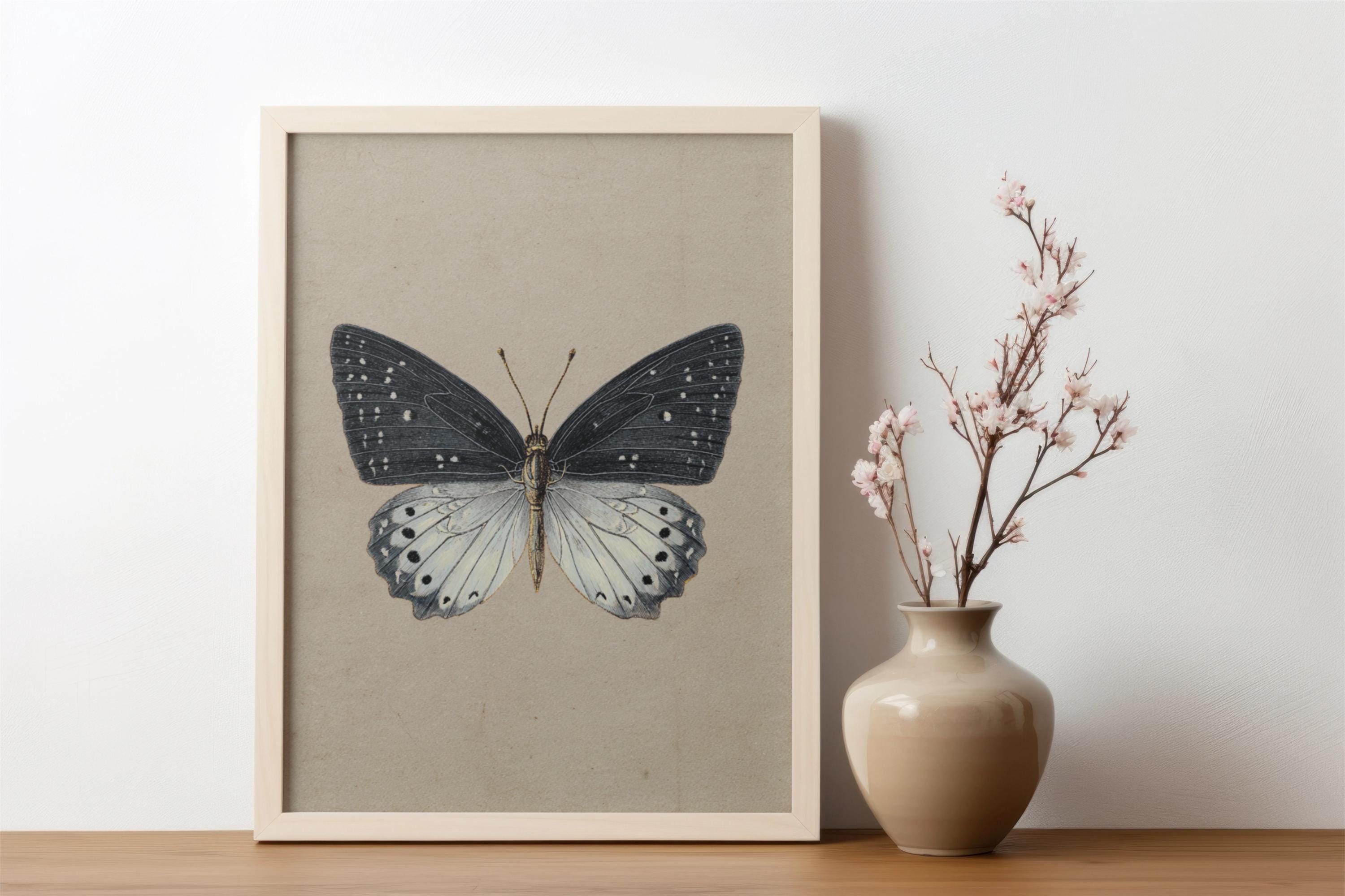 Vintage Butterfly Wall Art Print, Antique Moth Artwork, Cottagecore ...