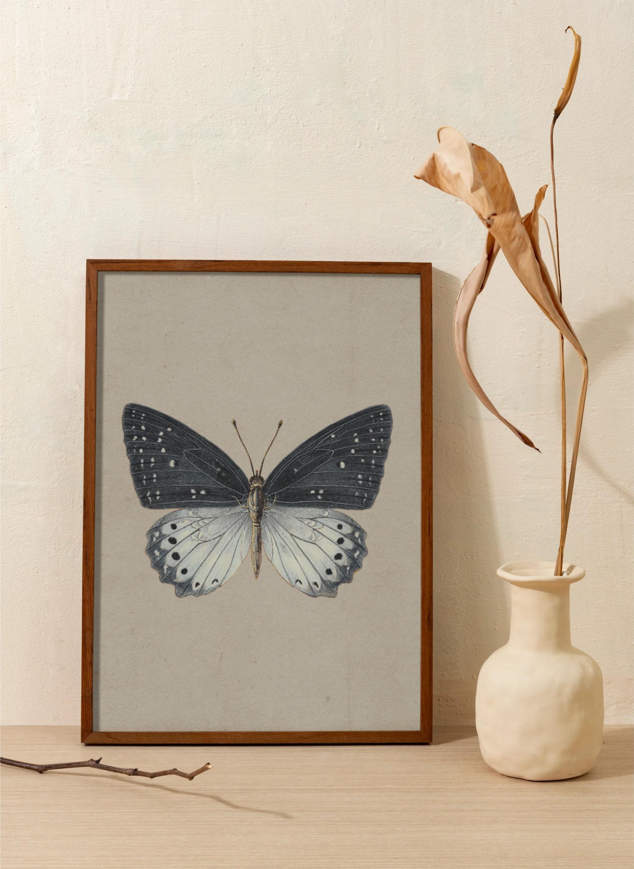 Vintage Butterfly Wall Art Print, Antique Moth Artwork, Cottagecore ...