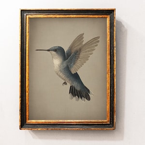Impression vintage d&#39;art mural colibri, illustration d&#39;oiseau antique, décoration d&#39;intérieur minimaliste neutre, oeuvre d&#39;art d&#39;oiseau imprimable pour les amoureux de la nature