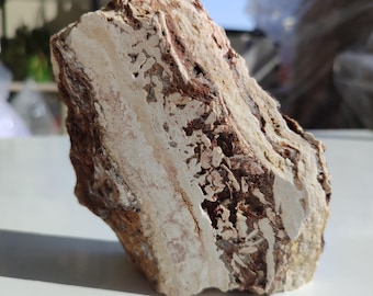 Natural Onyx Travertine: Stone Photo Prop, Marble Display Piece, Travertine pedestals