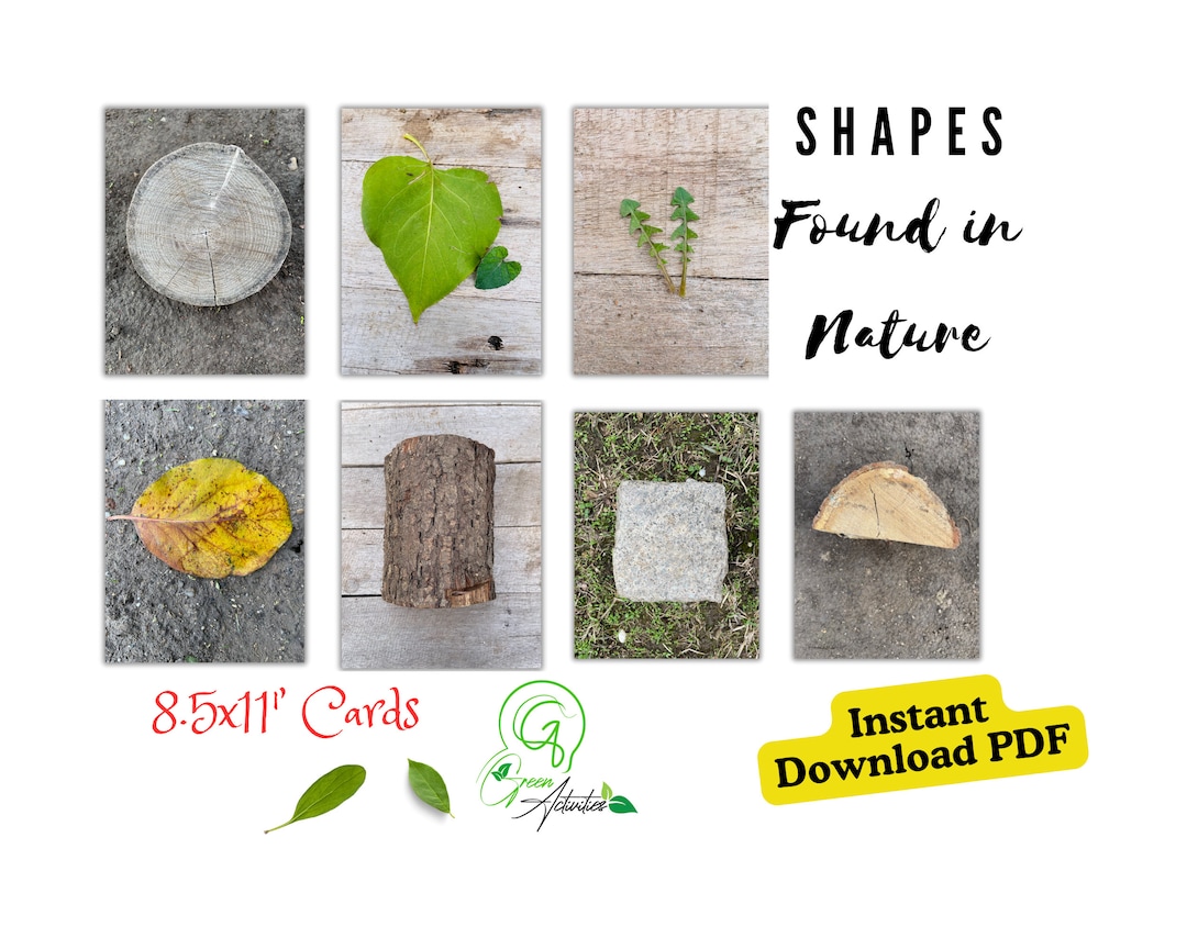 Shapes Found in Nature, Printable Cards for Home-school Environment ...
