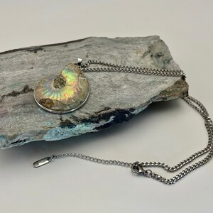 Collar grande de concha fósil de amonita, collar con colgante de amonita real, cadena larga plateada, joyería marina náutica, regalo para hombres