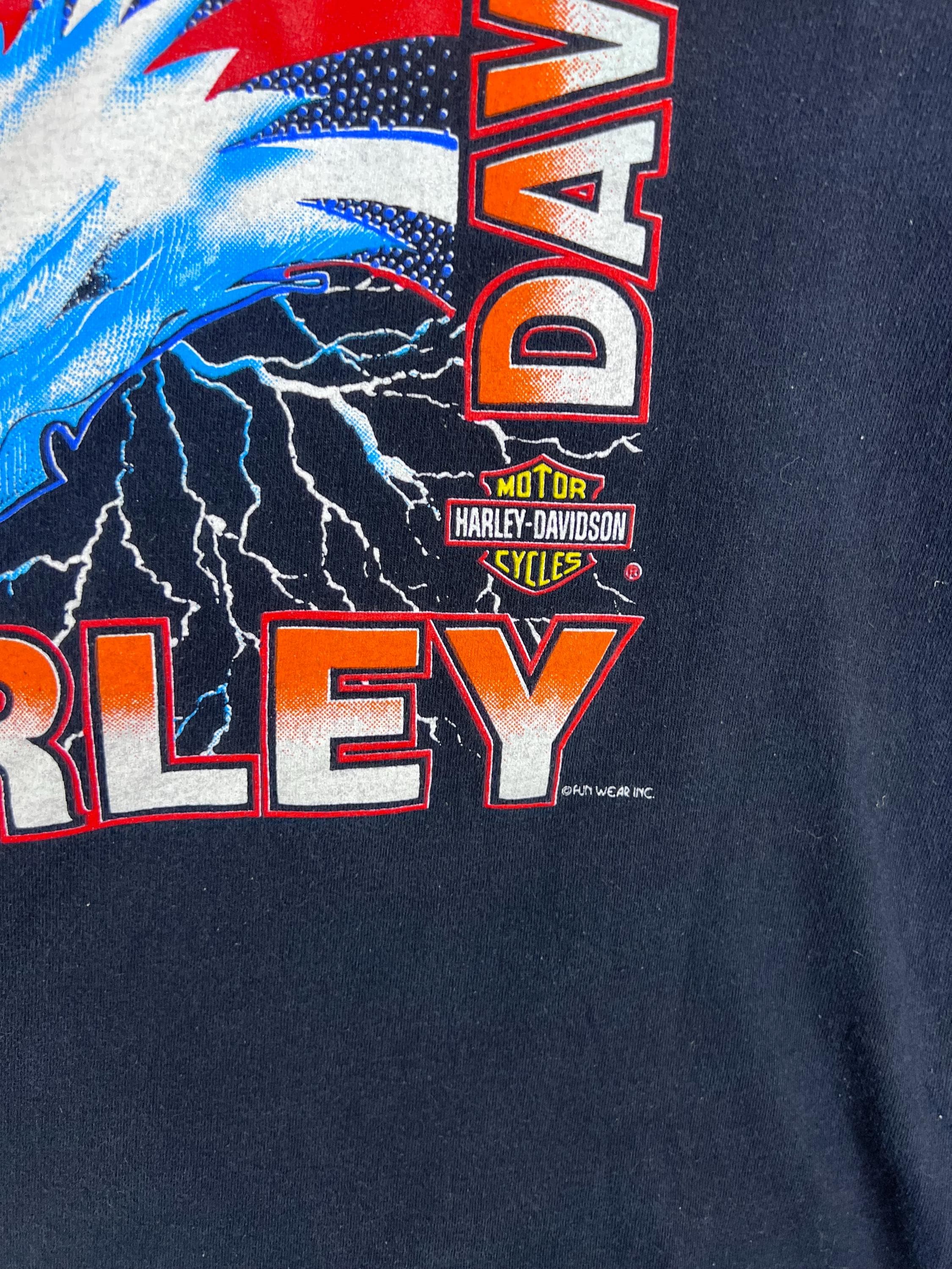 ダ*ス様 Harley-Davidson イーグル FUN WEAR Tシャツ Vintage Harley Davidson Fun Wear Tee Screaming Eagle 80s 90s Made