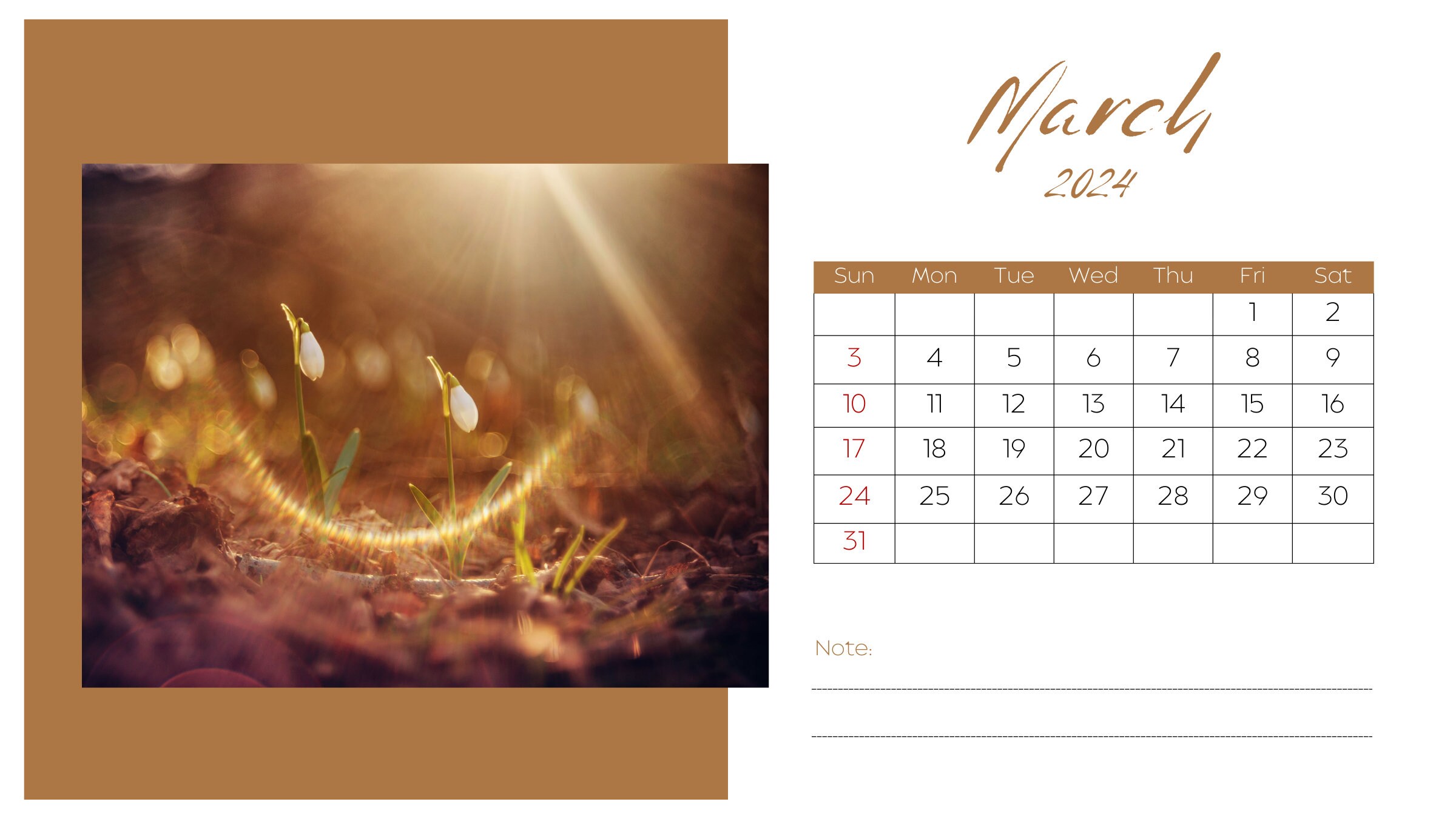 2025 Travel Calendar, Monthly Calendar, Personalized 12 Month Calendar