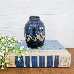 Pu&ograve; includere: Un piccolo vaso in ceramica blu e bianco con una glassa testurizzata. Il vaso &egrave; appoggiato su un libro.