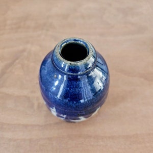 Pu&ograve; includere: Un piccolo vaso rotondo in ceramica blu con una glassa bianca. Il vaso ha un'ampia apertura e una finitura liscia e lucida.