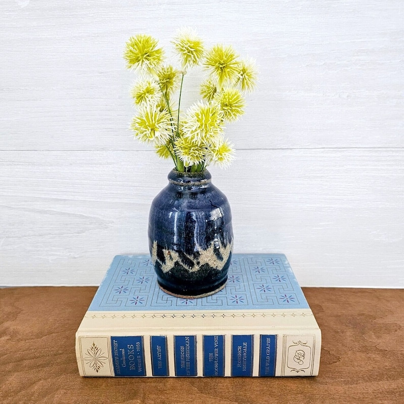 Pu&ograve; includere: Un piccolo vaso in ceramica blu e bianca con una superficie testurizzata, riempito con un bouquet di fiori bianchi e verdi, si trova sopra una pila di libri antichi.