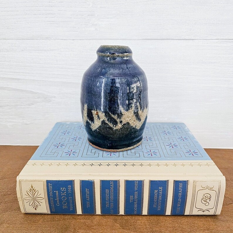 Pu&ograve; includere: Un piccolo vaso in ceramica blu e bianco con una glassa craquel&eacute;. Il vaso &egrave; appoggiato su una pila di libri.