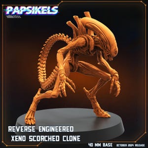 Può includere: Una figura dettagliata di Xenomorfo color marrone chiaro, posizionata su una base grigio scuro. La figura ha una lunga coda segmentata, testa allungata e artigli affilati. Testo sulla base: "REVERSE ENGINEERED XENO SCORCHED CLONE" e "40 MM BASE OCTOBER 2024 RELEASE".