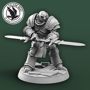 May include: A gray miniature figurine of a warrior in armor, holding two swords. The figure stands on a stone-like base. The Falcon Nest logo is in the upper left corner.