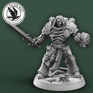 May include: A gray 3D-printed miniature of a warrior in armor, holding a sword and a weapon. The miniature is on a round base with small figures. The Falcon Nest logo is in the upper left corner.