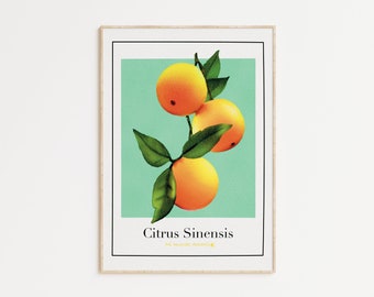 Oranges poster - Watercolor kitchen decoration - high quality print - citrus collection