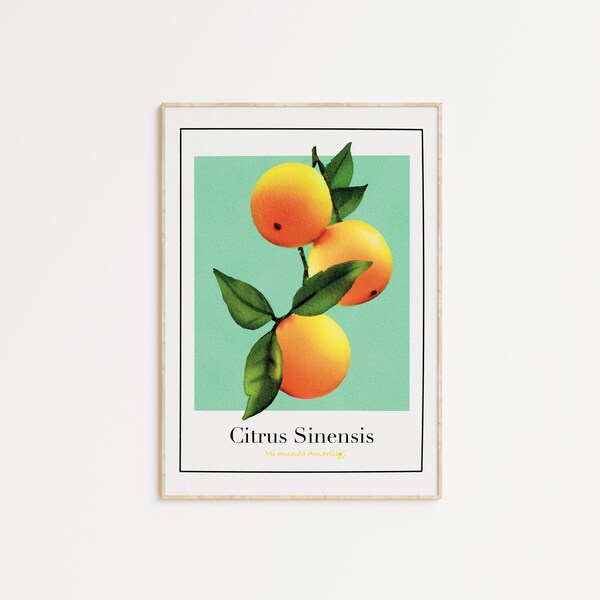 Affiche les oranges - Décoration cuisine aquarelle- impression haute qualité - collection agrumes