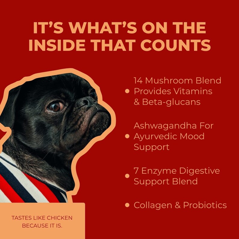 May include: A black pug dog wearing a red and white striped shirt. The text "IT'S WHAT'S ON THE INSIDE THAT COUNTS" is at the top of the image. The text "TASTES LIKE CHICKEN BECAUSE IT IS." is at the bottom of the image. The text "14 Mushroom Blend", "Provides Vitamins & Beta-glucans", "Ashwagandha For Ayurvedic Mood Support", "7 Enzyme Digestive Support Blend", and "Collagen & Probiotics" is listed on the right side of the image.