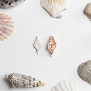 May include: A collection of seashells in various shapes and sizes, including a large brown shell, a white scallop shell, and two smaller white shells. The shells are arranged on a white background.