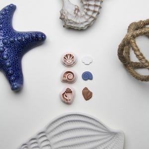 Può includere: Una collezione di oggetti decorativi a tema nautico. Include una stella marina blu, un cavalluccio marino bianco, una bobina di corda e vari stampi a forma di conchiglia in rosa, bianco, blu e marrone. È presente anche una grande conchiglia bianca.