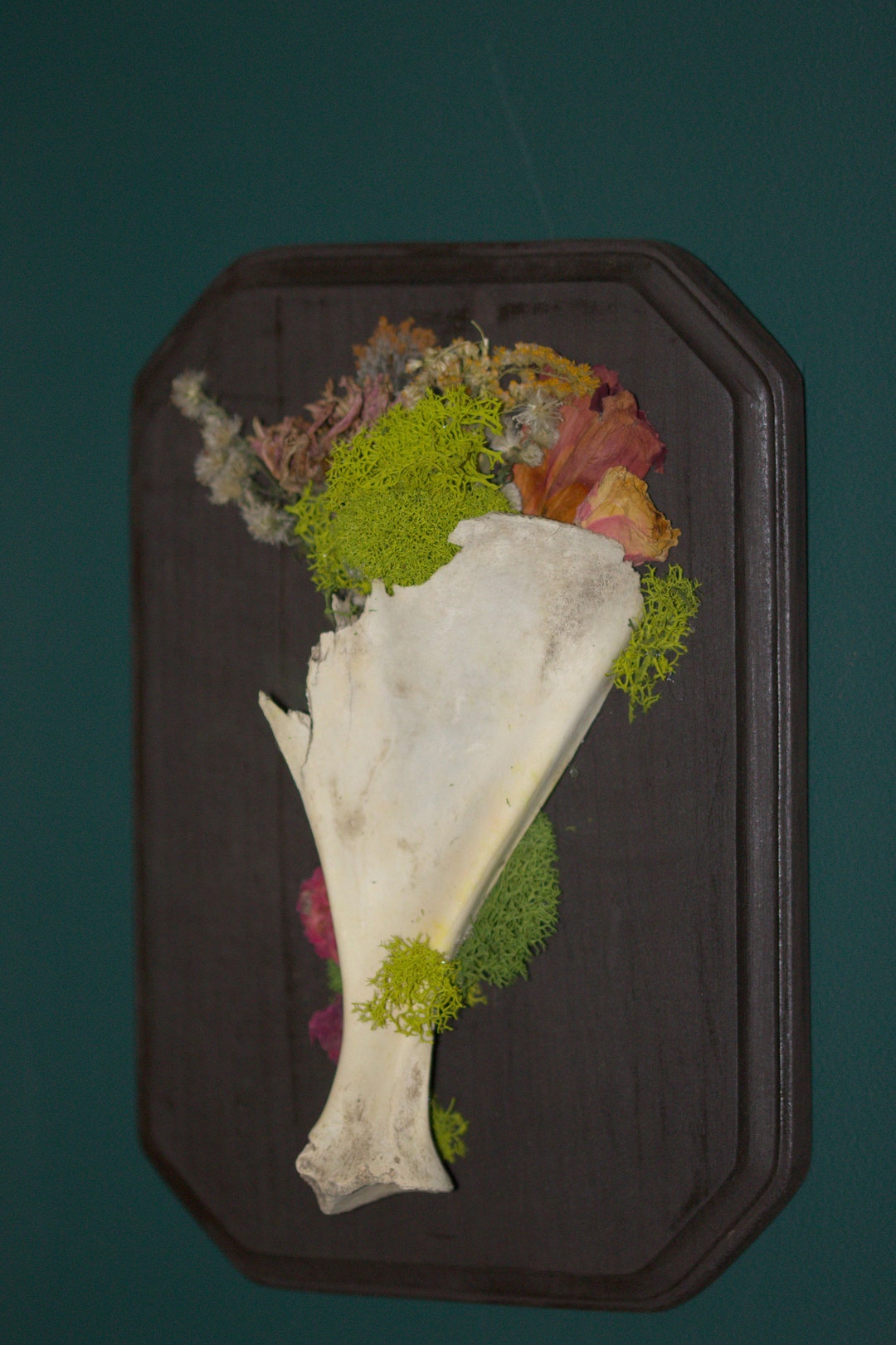 Deer Scapula Bone Wildflower Plaque Etsy